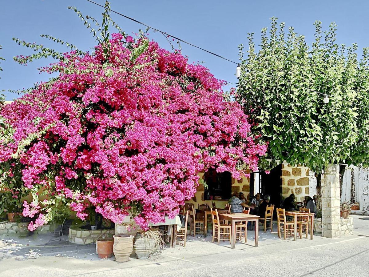 Alikampos Villa Artemis Vryses Crete מראה חיצוני תמונה